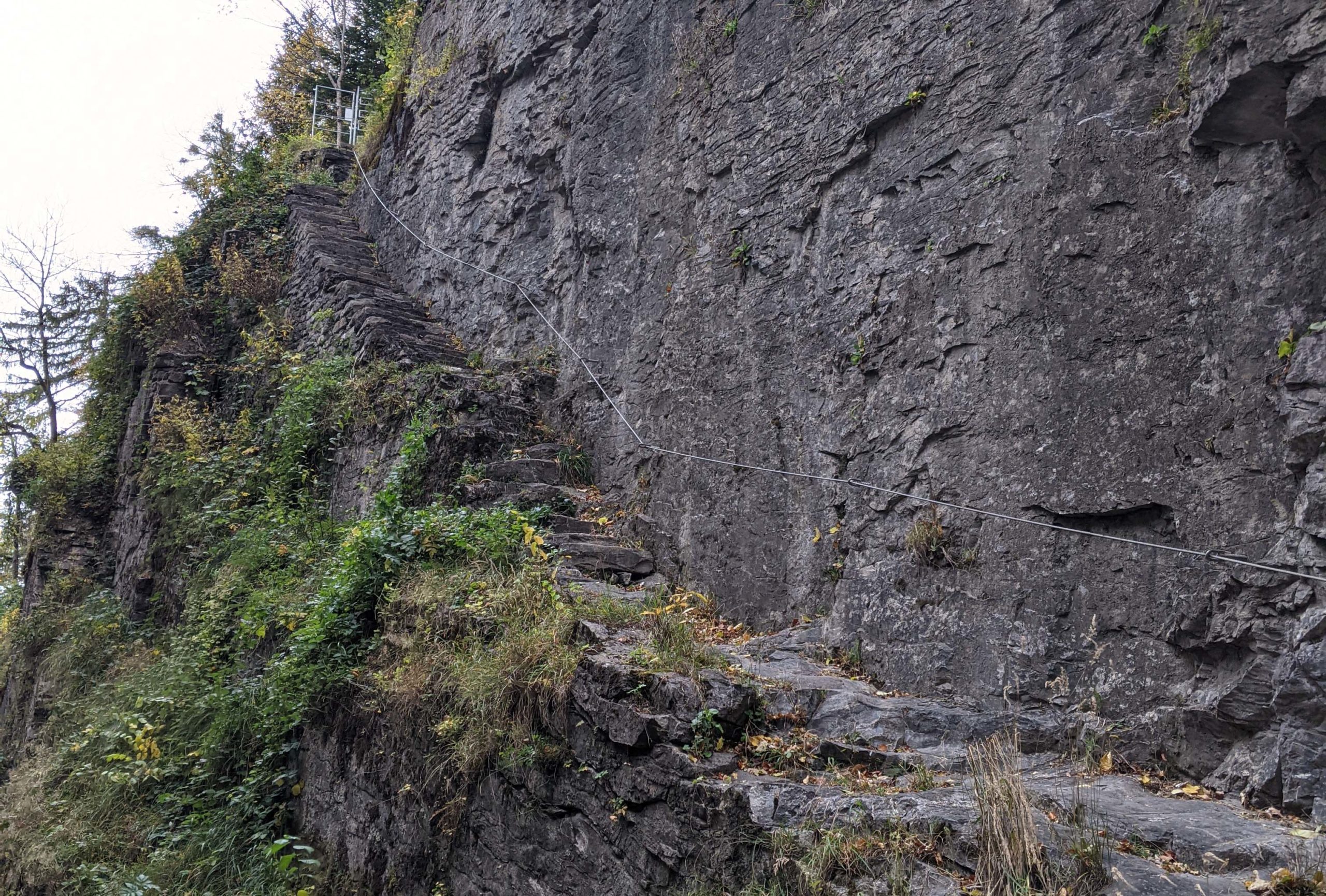 Meiringen-Brünigpass, optional weiter nach Brienzwiler